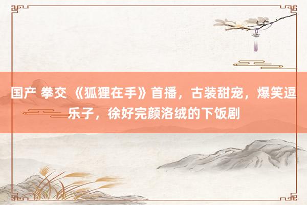国产 拳交 《狐狸在手》首播，古装甜宠，爆笑逗乐子，徐好完颜洛绒的下饭剧