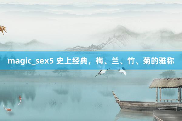 magic_sex5 史上经典，梅、兰、竹、菊的雅称