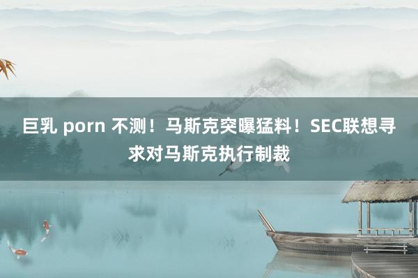巨乳 porn 不测！马斯克突曝猛料！SEC联想寻求对马斯克执行制裁