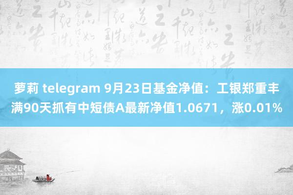 萝莉 telegram 9月23日基金净值：工银郑重丰满90天抓有中短债A最新净值1.0671，涨0.01%