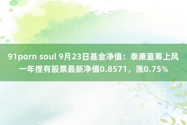 91porn soul 9月23日基金净值：泰康蓝筹上风一年捏有股票最新净值0.8571，涨0.75%