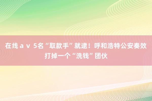 在线ａｖ 5名“取款手”就逮！呼和浩特公安奏效打掉一个“洗钱”团伙