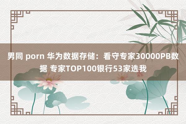 男同 porn 华为数据存储：看守专家30000PB数据 专家TOP100银行53家选我