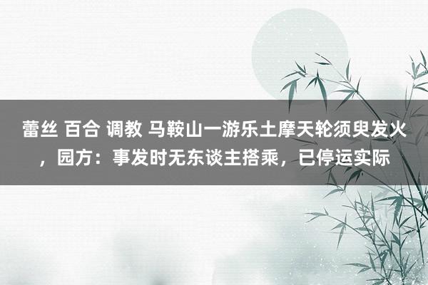 蕾丝 百合 调教 马鞍山一游乐土摩天轮须臾发火，园方：事发时无东谈主搭乘，已停运实际
