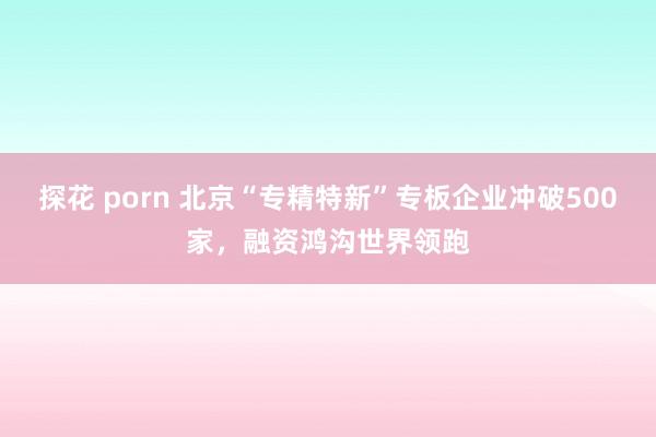 探花 porn 北京“专精特新”专板企业冲破500家，融资鸿沟世界领跑