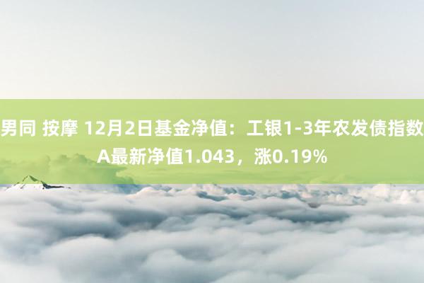 男同 按摩 12月2日基金净值：工银1-3年农发债指数A最新净值1.043，涨0.19%