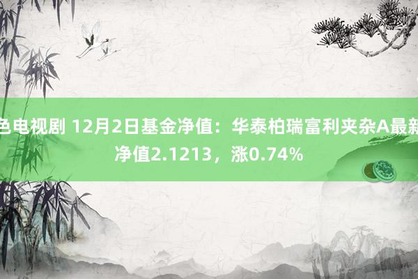 色电视剧 12月2日基金净值：华泰柏瑞富利夹杂A最新净值2.1213，涨0.74%
