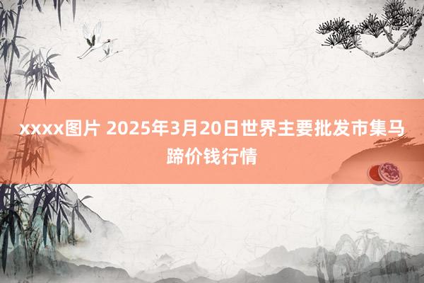 xxxx图片 2025年3月20日世界主要批发市集马蹄价钱行情