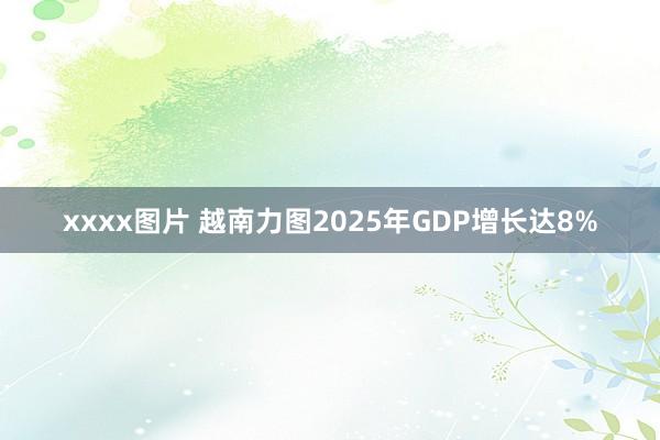 xxxx图片 越南力图2025年GDP增长达8%