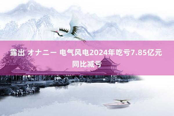 露出 オナニー 电气风电2024年吃亏7.85亿元 同比减亏