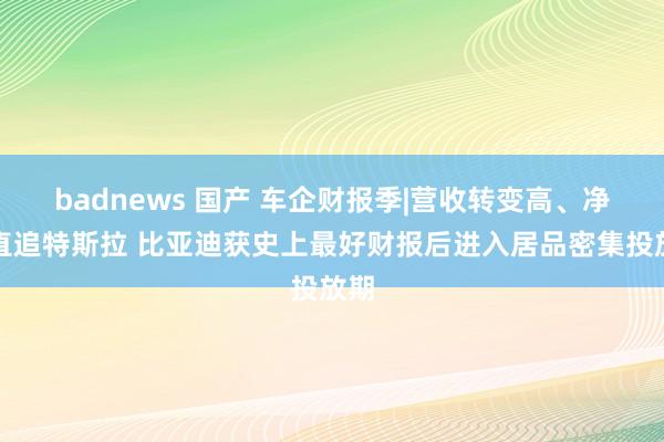 badnews 国产 车企财报季|营收转变高、净利直追特斯拉 比亚迪获史上最好财报后进入居品密集投放期