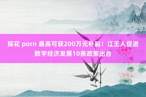 探花 porn 最高可获200万元补贴！江王人促进数字经济发展10条政策出台