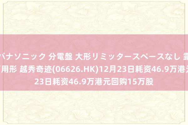 パナソニック 分電盤 大形リミッタースペースなし 露出・半埋込両用形 越秀奇迹(06626.HK)12月23日耗资46.9万港元回购15万股