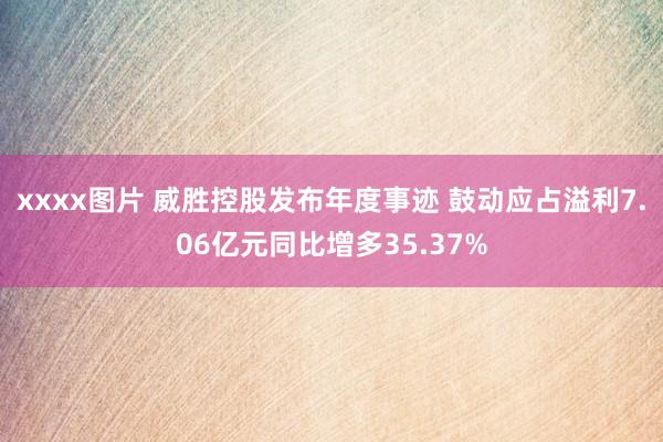 xxxx图片 威胜控股发布年度事迹 鼓动应占溢利7.06亿元同比增多35.37%