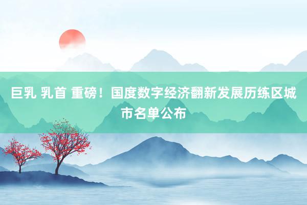 巨乳 乳首 重磅！国度数字经济翻新发展历练区城市名单公布