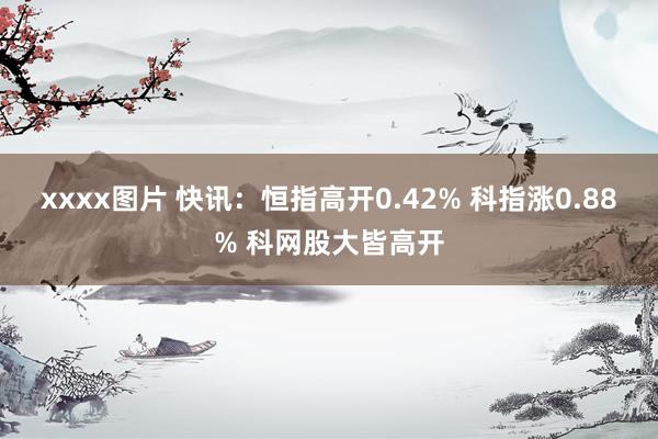 xxxx图片 快讯：恒指高开0.42% 科指涨0.88% 科网股大皆高开