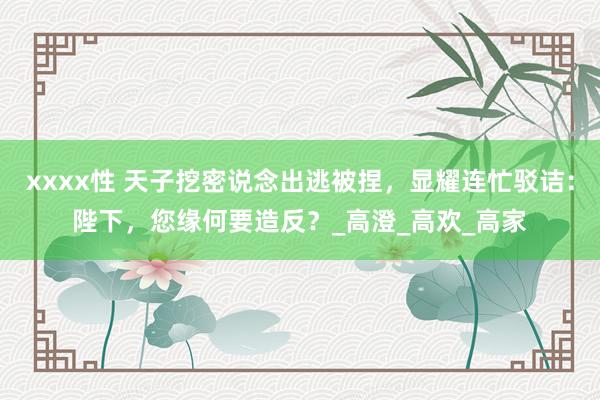 xxxx性 天子挖密说念出逃被捏，显耀连忙驳诘：陛下，您缘何要造反？_高澄_高欢_高家