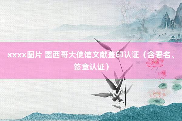 xxxx图片 墨西哥大使馆文献盖印认证（含署名、签章认证）