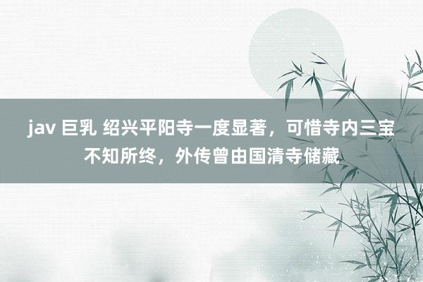jav 巨乳 绍兴平阳寺一度显著，可惜寺内三宝不知所终，外传曾由国清寺储藏
