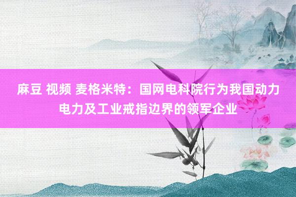 麻豆 视频 麦格米特：国网电科院行为我国动力电力及工业戒指边界的领军企业