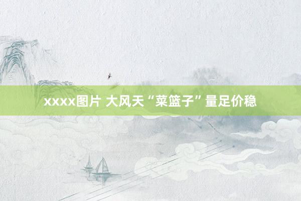 xxxx图片 大风天“菜篮子”量足价稳