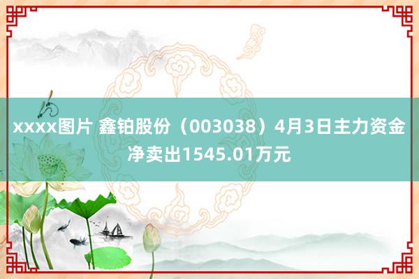 xxxx图片 鑫铂股份（003038）4月3日主力资金净卖出1545.01万元