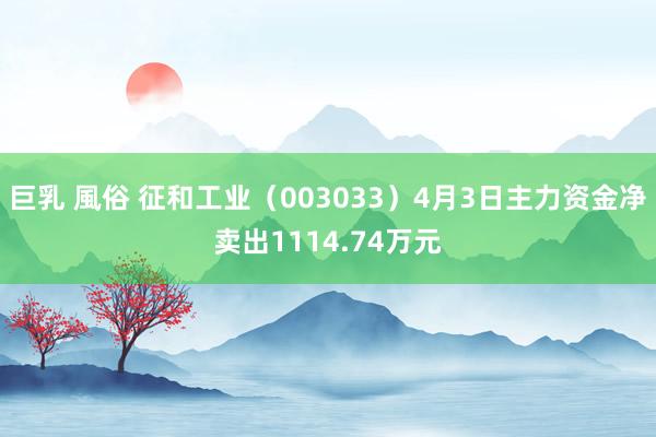 巨乳 風俗 征和工业（003033）4月3日主力资金净卖出1114.74万元