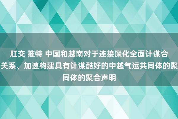 肛交 推特 中国和越南对于连接深化全面计谋合作伙伴关系、加速构建具有计谋酷好的中越气运共同体的聚合声明