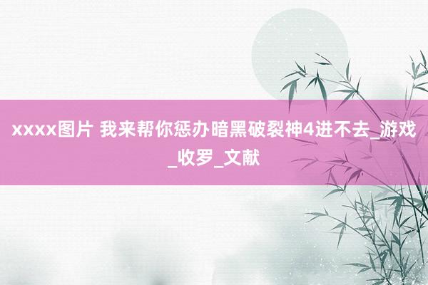 xxxx图片 我来帮你惩办暗黑破裂神4进不去_游戏_收罗_文献