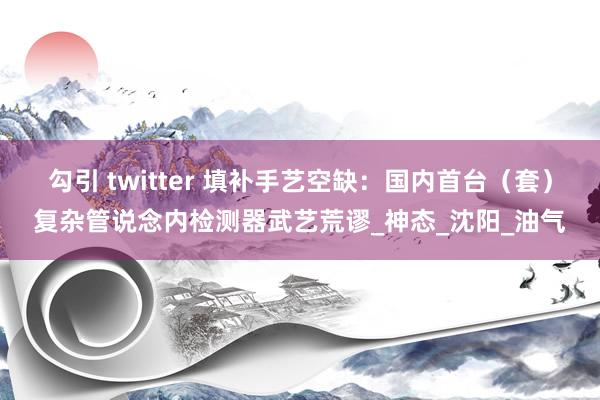 勾引 twitter 填补手艺空缺：国内首台（套）复杂管说念内检测器武艺荒谬_神态_沈阳_油气
